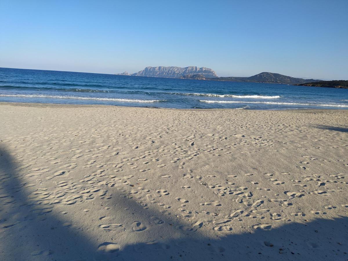 Antica Isola Bed & Breakfast Olbia Exterior foto